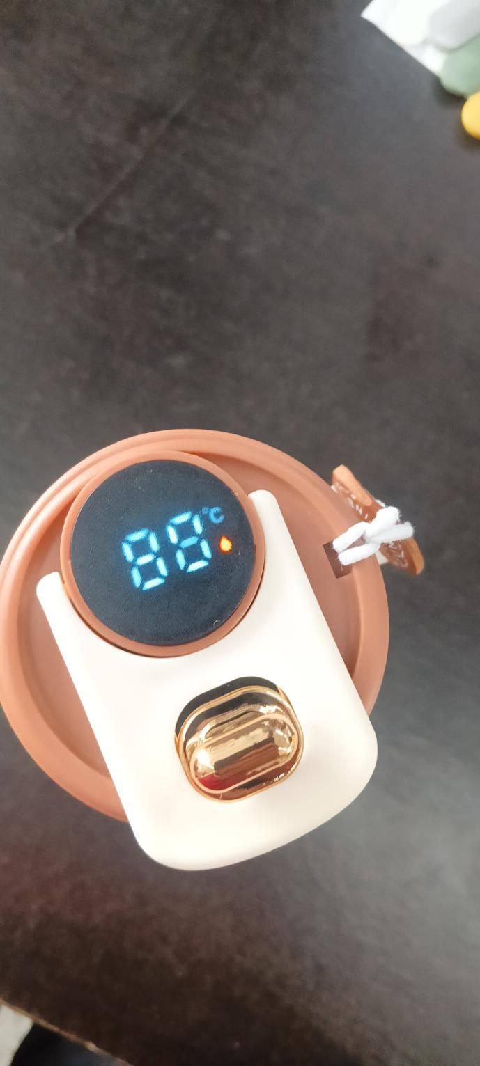 ThermaLux™ Smart Coffee Mug with Digital Temp Display